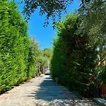 Pensionat Le Jardin Sur Avec Bike Et Mtb Tour