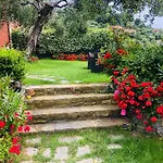 Le Jardin Sur Avec Bike Et Mtb Tour 3*
