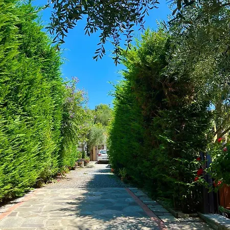Πανσιόν Le Jardin Sur Avec Bike Et Mtb Tour