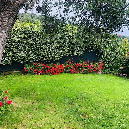 Le Jardin Sur Mer Avec Bike Et Mtb Tour Guest house *