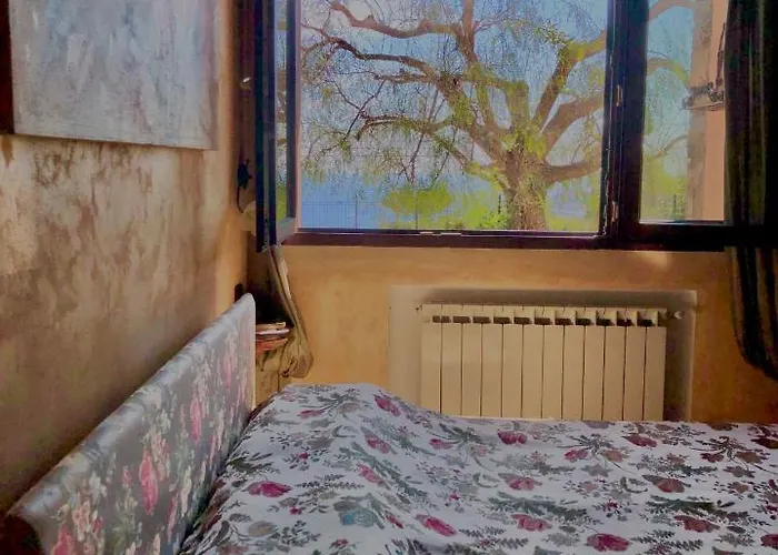 Le Jardin Sur Avec Bike Et Mtb Tour Pensión 3*