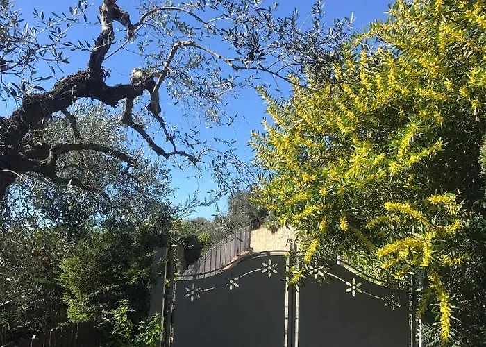 Le Jardin Sur Avec Bike Et Mtb Tour Pensión Imperia