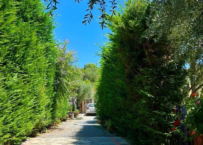 Pensionat Le Jardin Sur Avec Bike Et Mtb Tour