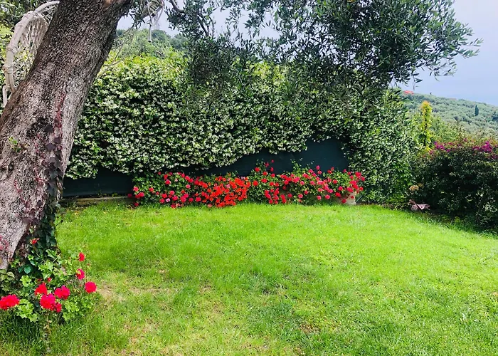 Le Jardin Sur Avec Bike Et Mtb Tour Pensión 3*